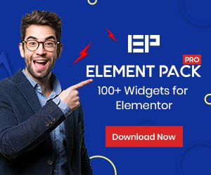 Build Better Websites: Premium WordPress Tools by BDThemes